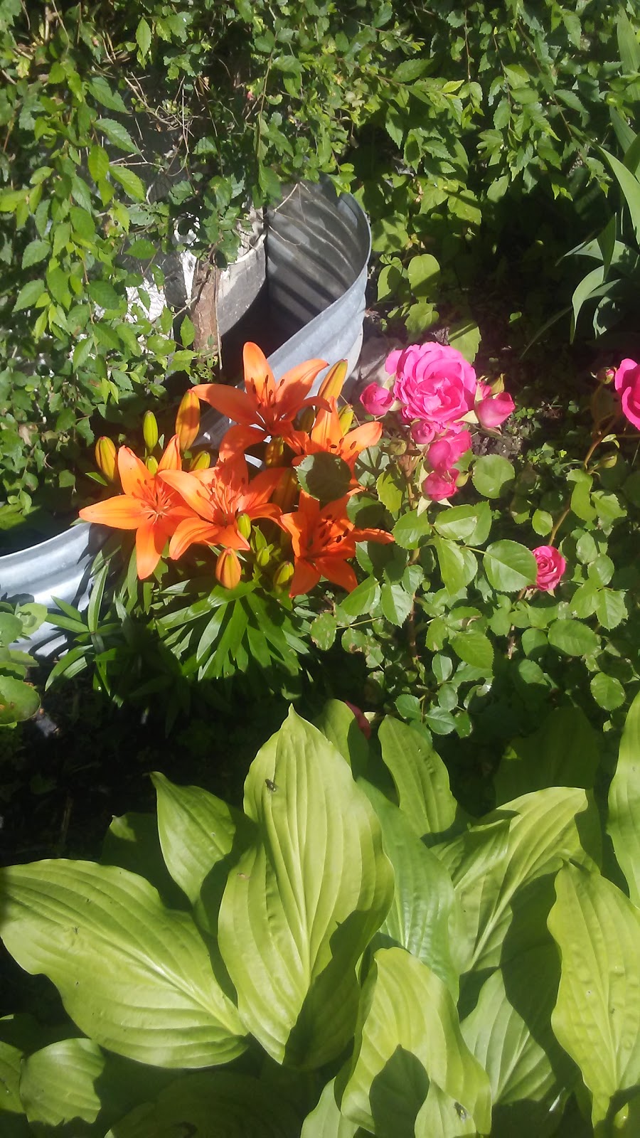 Westlake Memorial Park | 86 Jasper Ave, York, ON M6N 2M8, Canada | Phone: (416) 338-4386