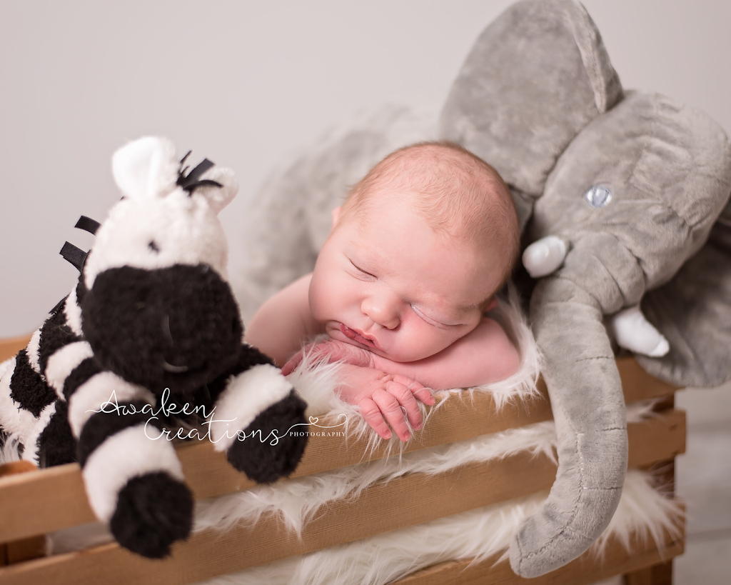 Awaken Creations Photography | 3011 Meadow Dr, Nanaimo, BC V9R 7C6, Canada | Phone: (250) 618-3003