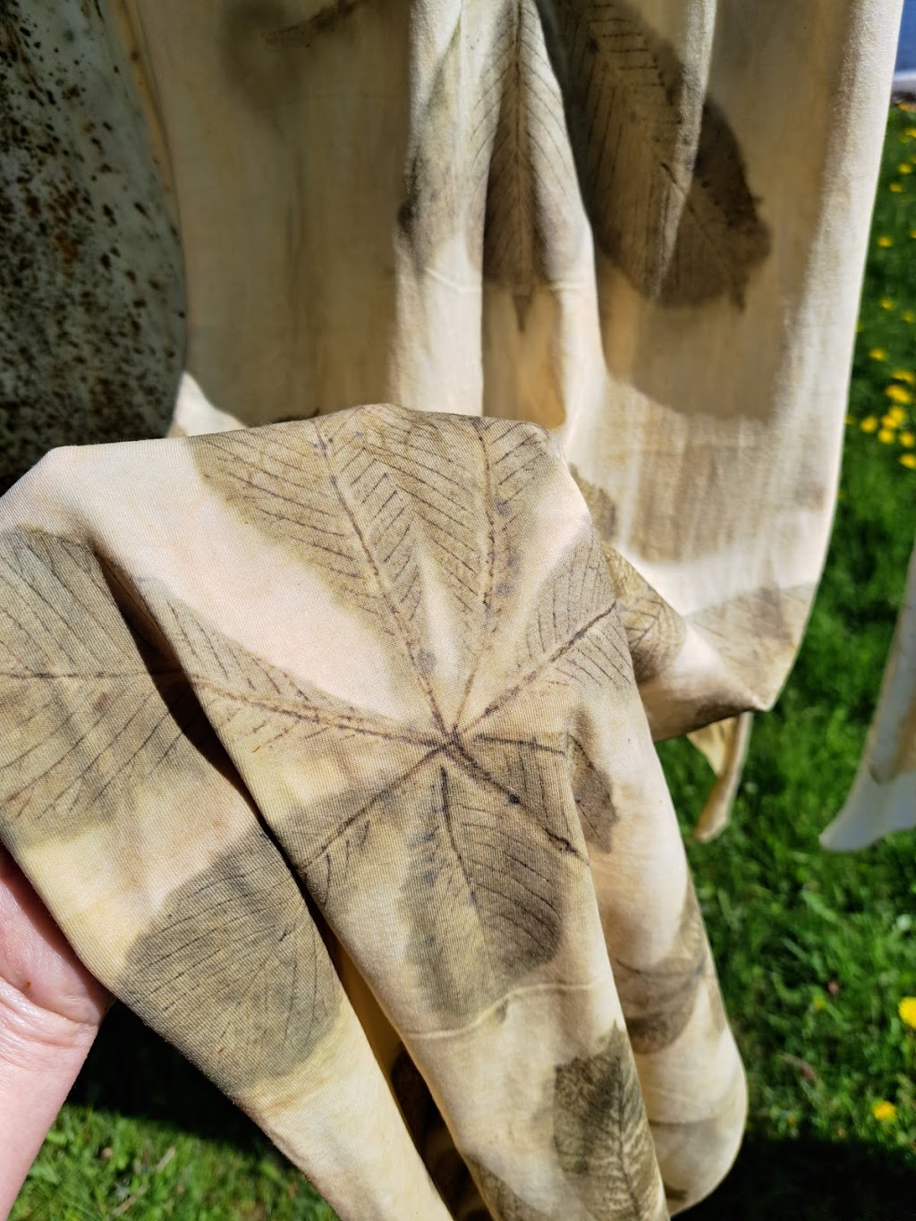 Subtleties of Nature | 519 Bridgeview Ln, Port Howe, NS B0K 1K0, Canada | Phone: (902) 297-7857