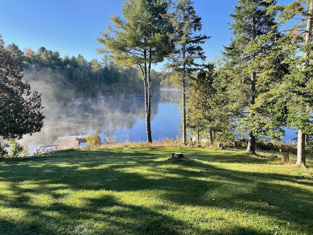 Muskoka Clean Team | 35 Lakeview Dr, Seguin, ON P2A 0B6, Canada | Phone: (705) 773-9227