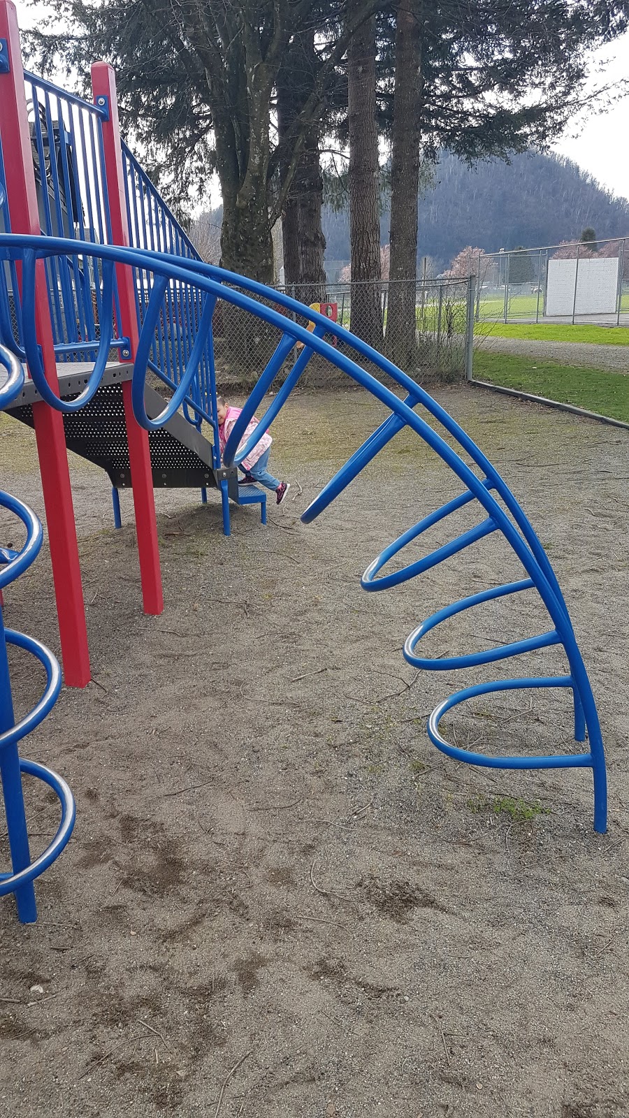 Ferny Coombe Pool | 6820 Pioneer Ave, Agassiz, BC V0M 1A0, Canada | Phone: (604) 796-2451