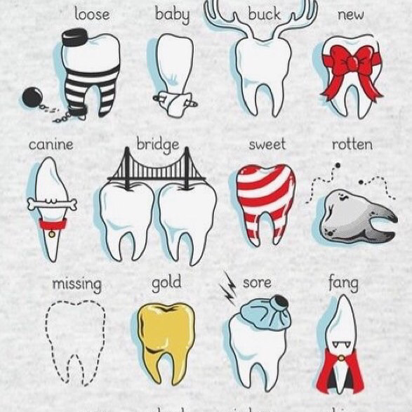 Village Dental Hygiene | 279 Dundas St E, Waterdown, ON L0R 2H0, Canada | Phone: (289) 244-3656