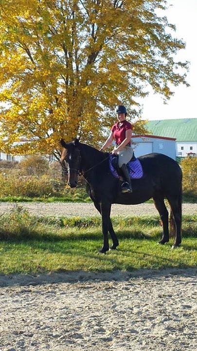 SEQS;Société DEquitation Quatre Saisons; | 6240 QC-112, Ascot Corner, QC J0B 1A0, Canada | Phone: (819) 829-4346