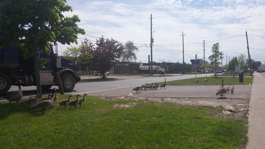 Shareway Auto Service | 64 Toro Rd, North York, ON M3J 2A8, Canada | Phone: (416) 663-8228