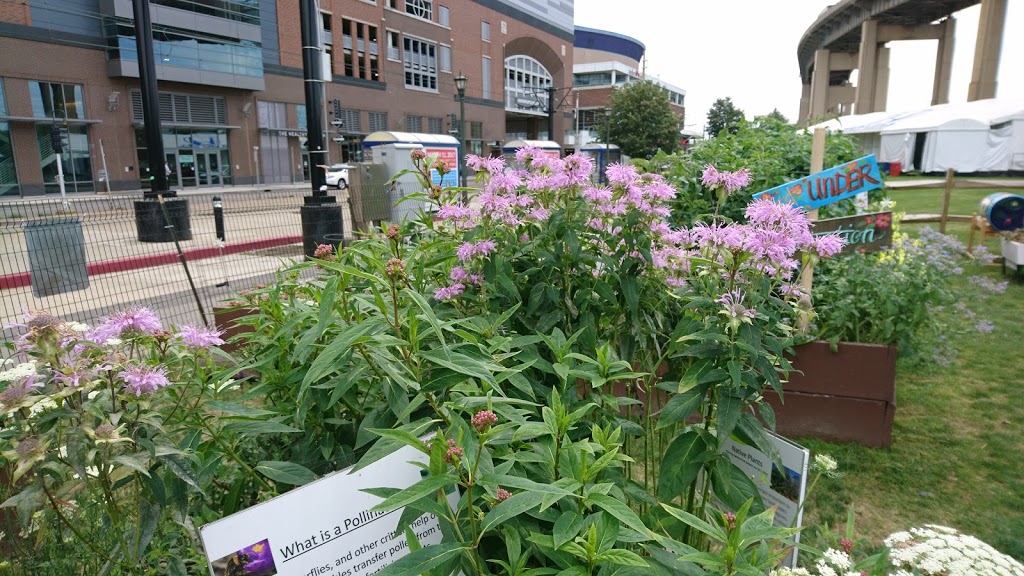 ECC Learning Garden | Buffalo, NY 14203, USA