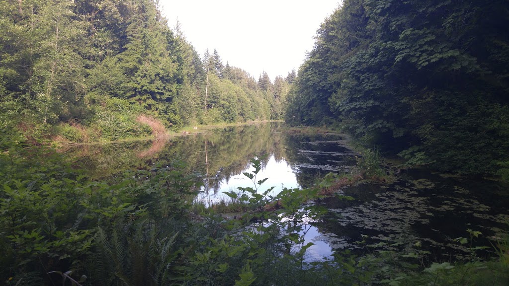 Stimpson Family Nature Reserve | 2076 Lake Louise Rd, Bellingham, WA 98229, USA | Phone: (360) 778-5850