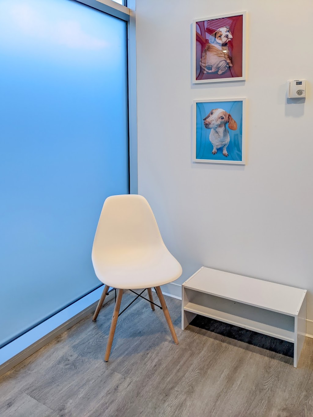 Canine Align Animal Chiropractic @ Nostos | 703 64 Ave SE Unit 170, Calgary, AB T2H 2C3, Canada | Phone: (587) 391-8611