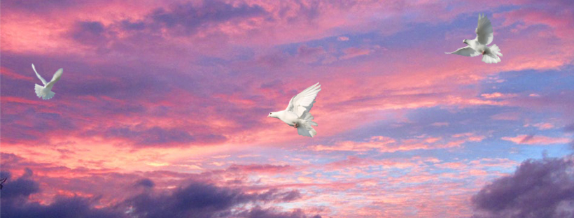 Crystal & Reiki Soul Healing | 34513 Stoneleigh Ave, Abbotsford, BC V2S 8N5, Canada | Phone: (604) 226-4144