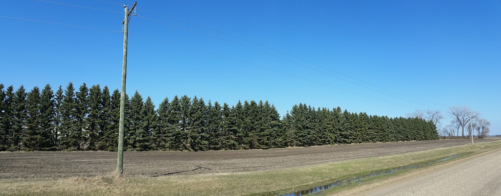 Agassiz Seed Farm Ltd. | Homewood, MB R0G 0Y0, Canada | Phone: (204) 745-6655