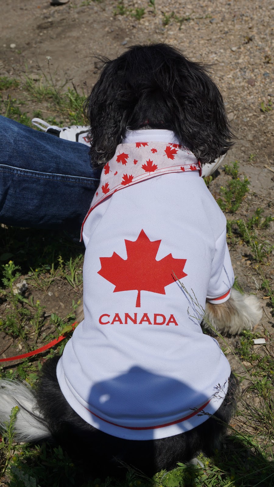 Leask RV Park | 1 Ave, Leask, SK S0J 1M0, Canada | Phone: (306) 466-2229