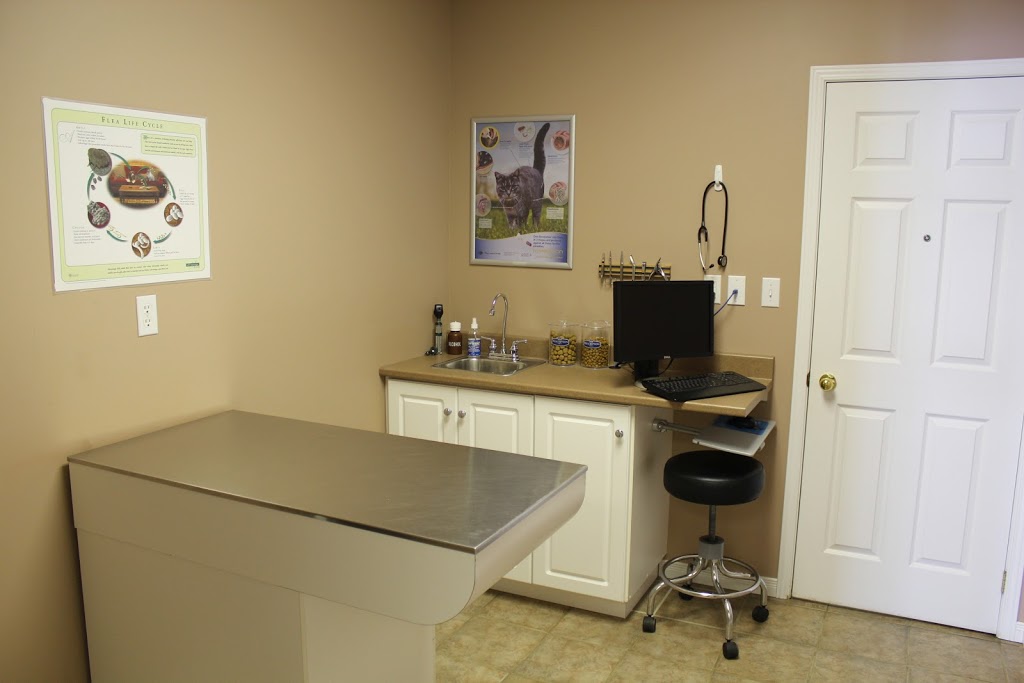 Pinnacle Animal Hospital | 1767 ON-60 RR3, Renfrew, ON K7V 3Z6, Canada | Phone: (613) 433-3100