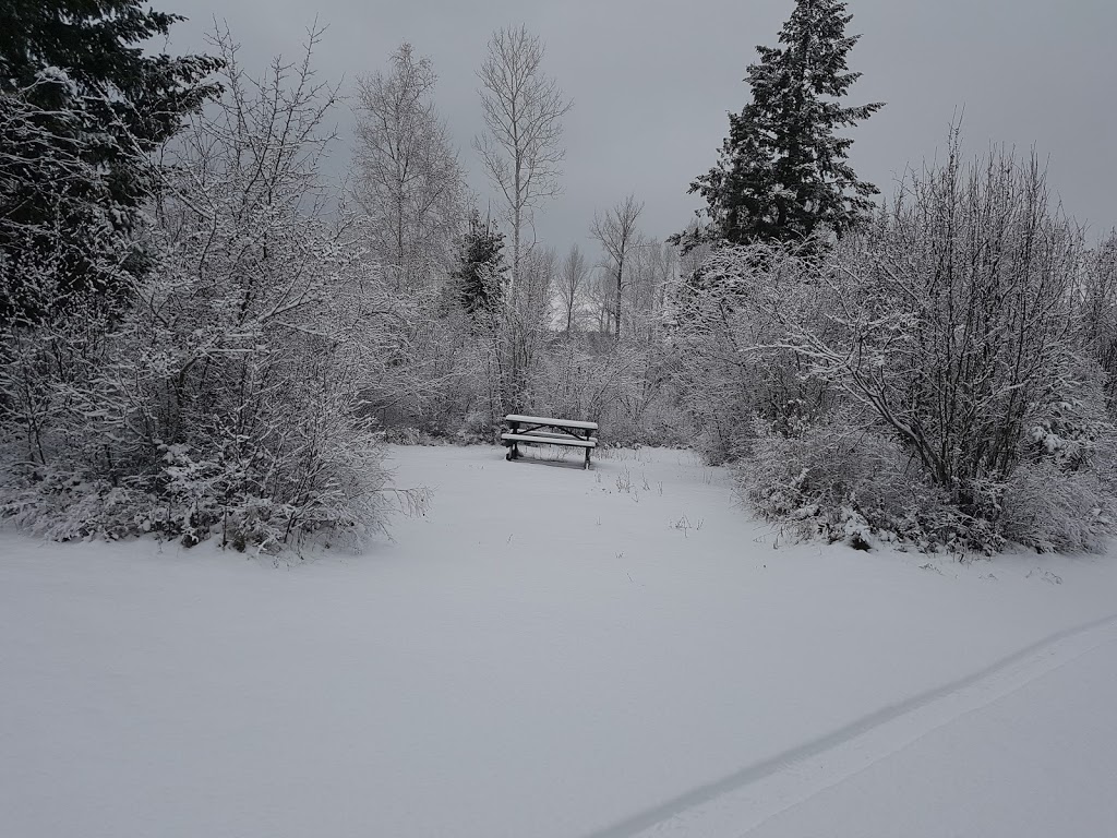 Tims By The River Campsite | 15 Range Rd, Falkland, BC V0E 1W1, Canada | Phone: (250) 379-2379