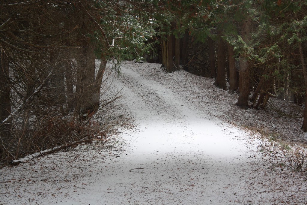 Jingle Bills Christmas Tree Farm | 7373 Concession 1, Puslinch, ON N0B 2J0, Canada | Phone: (519) 546-4659