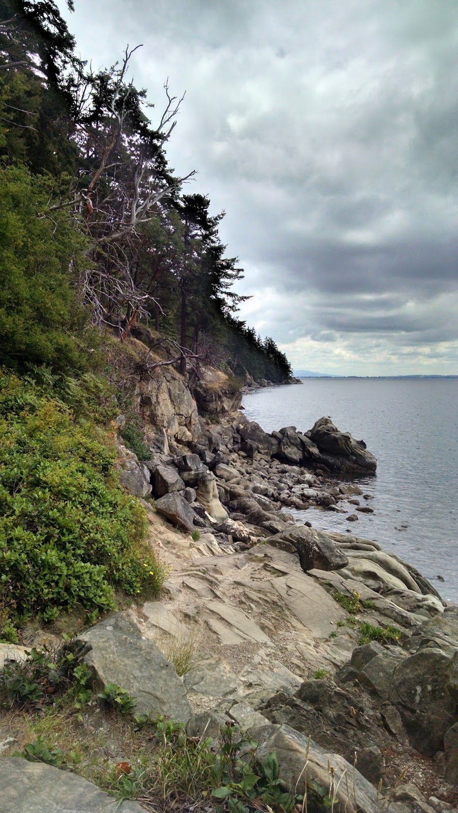 Larrabee State Park | 245 Chuckanut Dr, Bellingham, WA 98229, USA | Phone: (360) 676-2093