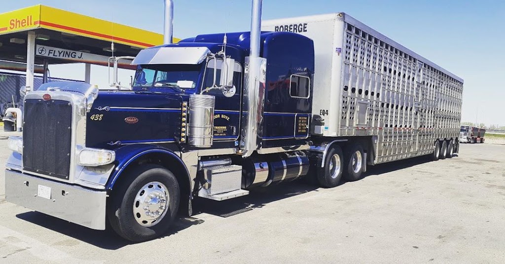 Roberge Transport Inc | Box 700, 1750 Stadacona St W, Moose Jaw, SK S6H 4P4, Canada | Phone: (800) 667-5190