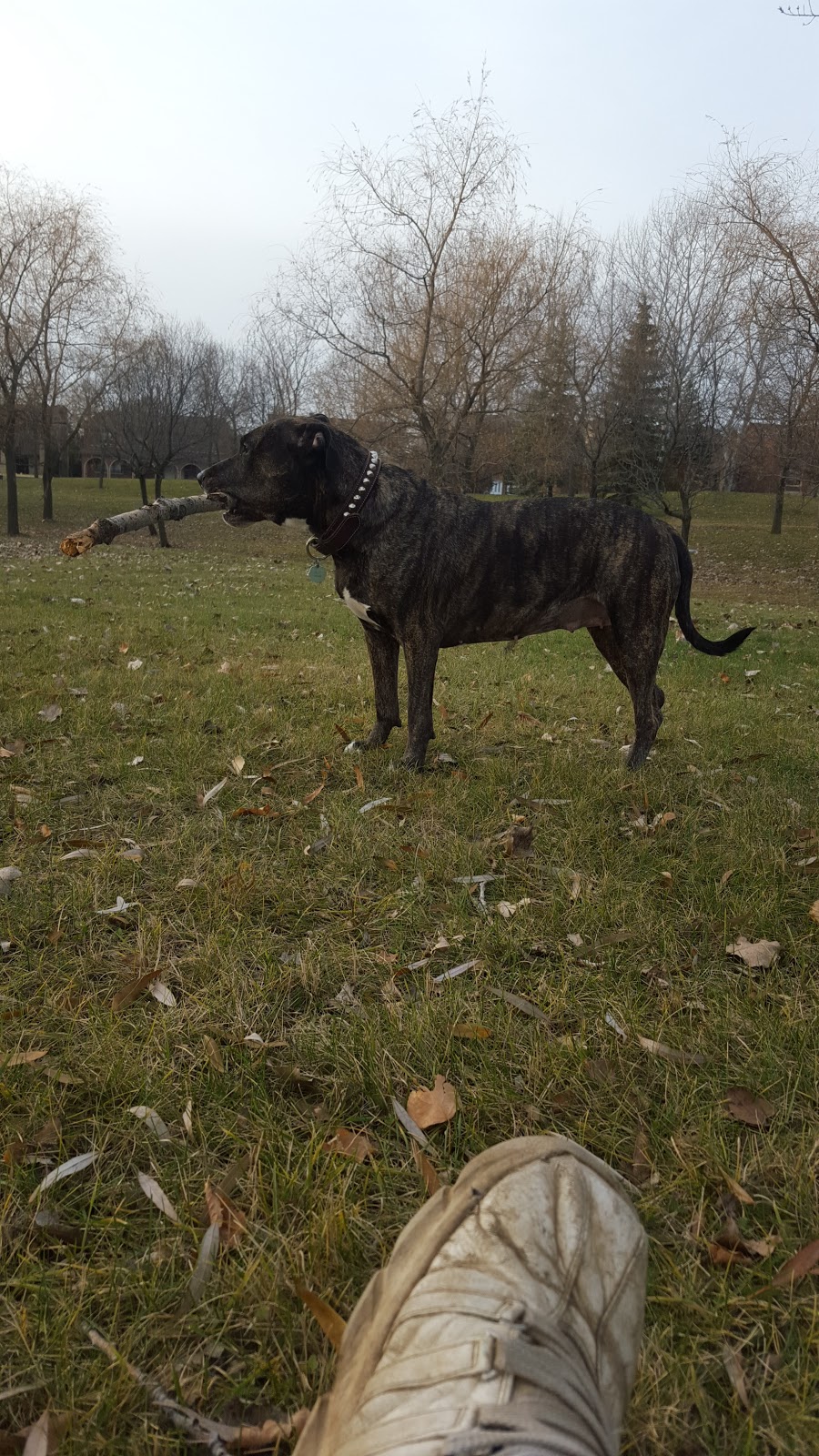 Parc Félix-Leclerc | Lasalle, Montreal, QC H8N 2T9, Canada