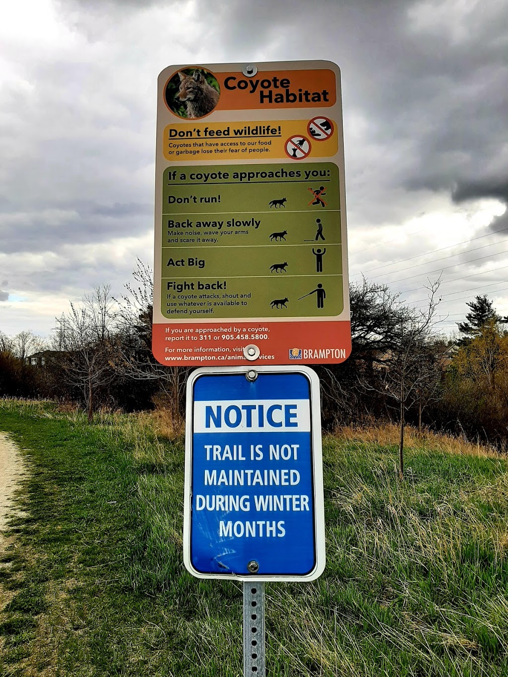Dusk Pond | James Potter Rd n/of, Dusk Dr, Brampton, ON L6Y 0H7, Canada | Phone: (905) 874-2000