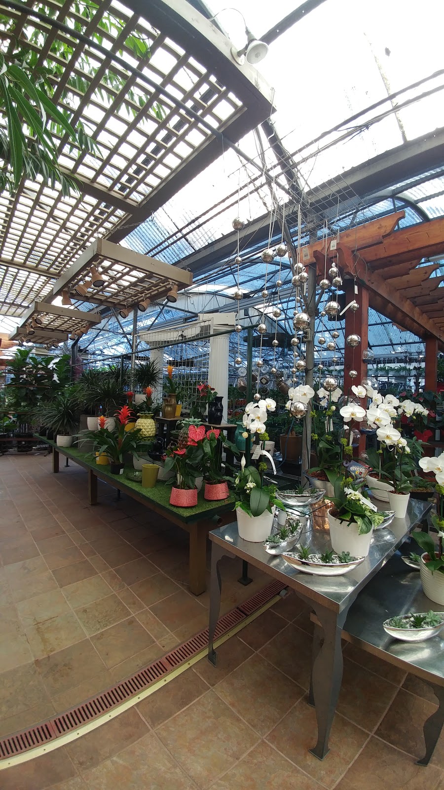 99 Nursery & Florist Inc | 9376 King George Blvd, Surrey, BC V3V 5W3, Canada | Phone: (604) 584-6555