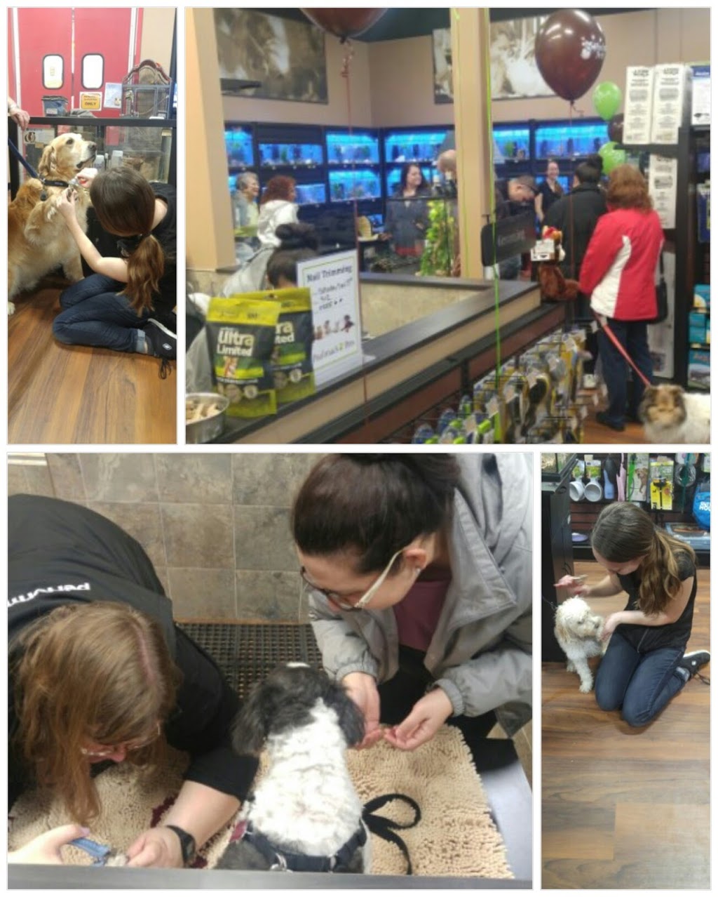 Paulmacs Pets | 1290 Steeles Ave E, Milton, ON L9T 6R1, Canada | Phone: (905) 875-4183