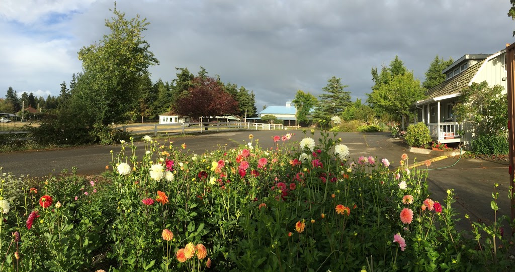 The Storage Place | 845 Argyle Ave, Friday Harbor, WA 98250, USA | Phone: (360) 378-2311