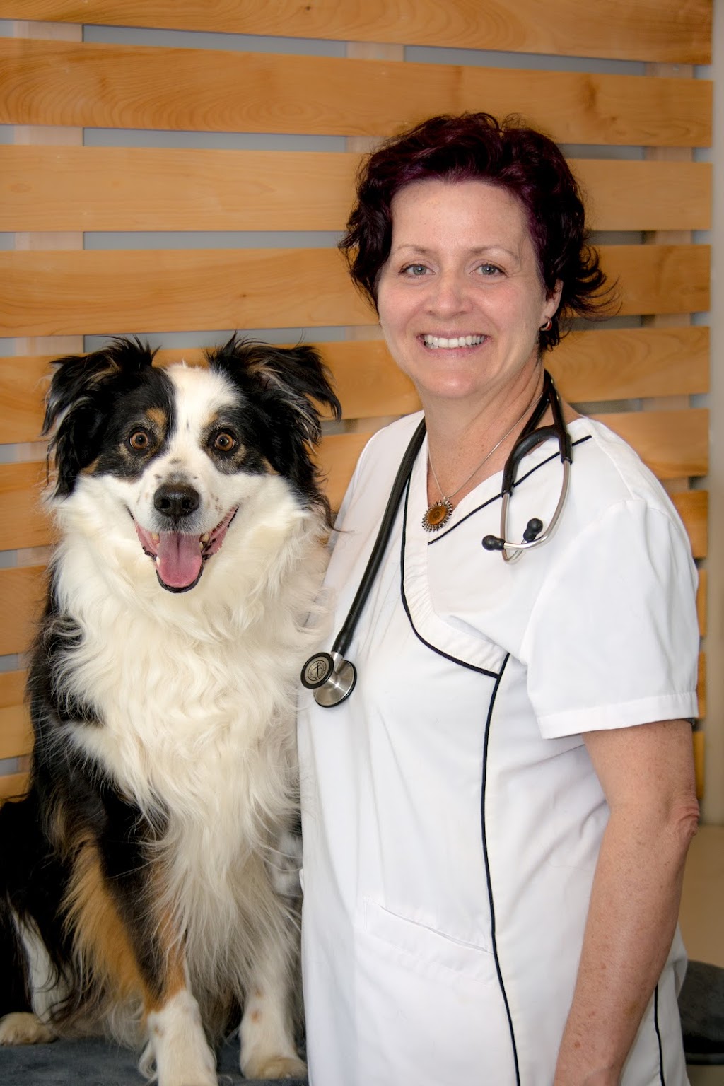 Clinique vétérinaire lArche de Noé | 753 Rue Notre Dame, Saint-Rémi, QC J0L 2L0, Canada | Phone: (450) 454-2801