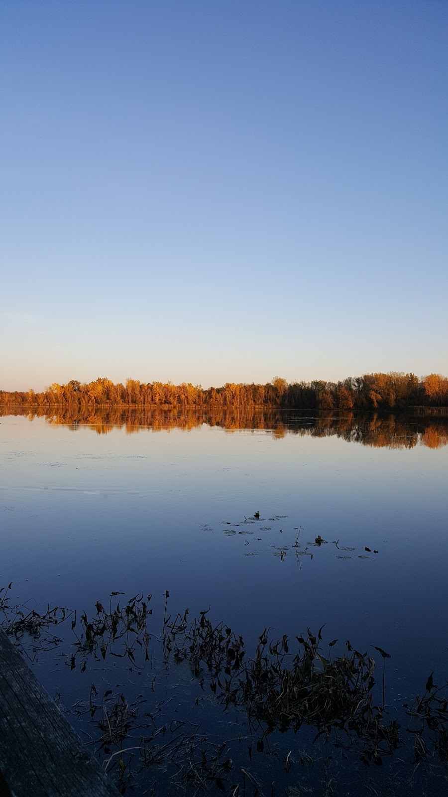 Parc Plaisance | 441 Rue de Versailles, Granby, QC J2G 8C7, Canada | Phone: (450) 776-8282