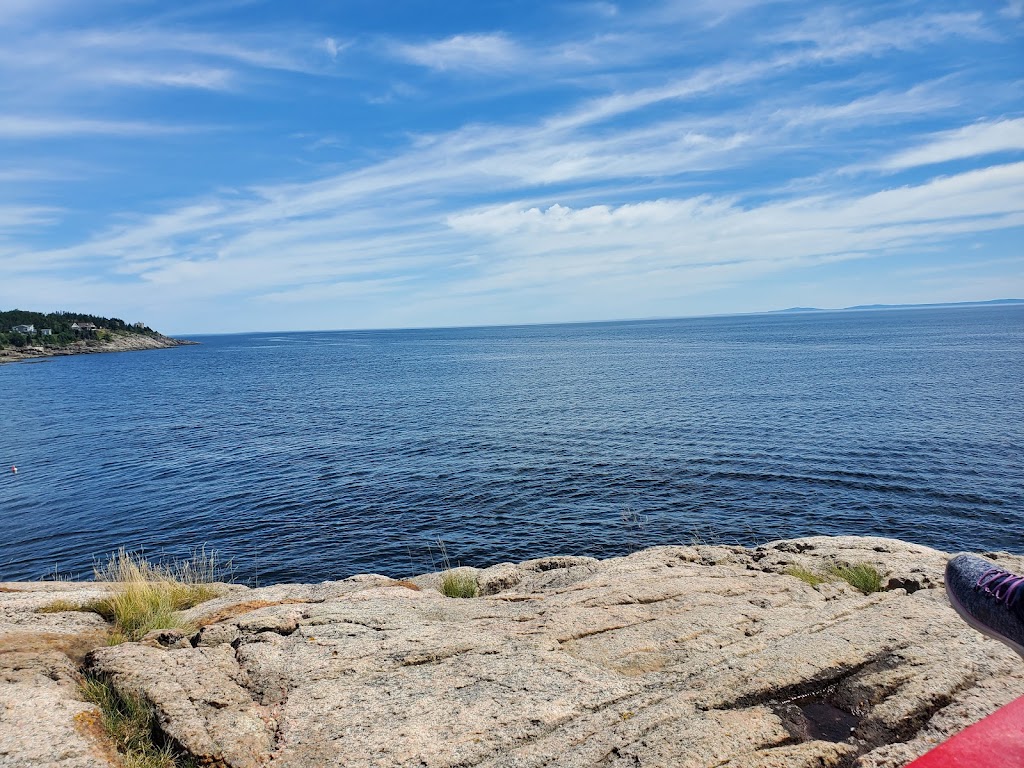 Marine Environment Discovery Centre | 41 Rue des Pilotes, Les Escoumins, QC G0T 1K0, Canada | Phone: (418) 233-4414