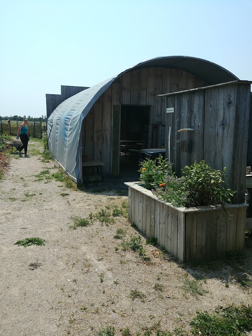 Bruce Botanical Food Gardens | 62 Park St, Ripley, ON N0G 2R0, Canada | Phone: (519) 395-3735