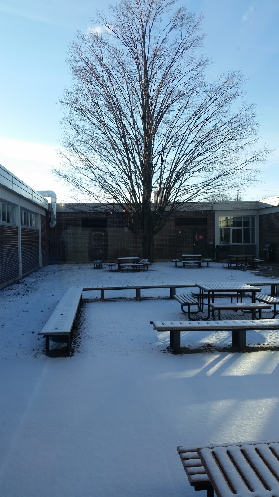 Bayview Secondary School | 10077 Bayview Ave, Richmond Hill, ON L4C 2L4, Canada | Phone: (905) 884-4453