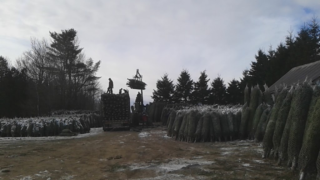 IDEAL PLANTATIONS / LES PLANTATIONS IDÉALES | 360 Rang des Chutes, Ham-Nord, QC G0P 1A0, Canada | Phone: (819) 344-2858