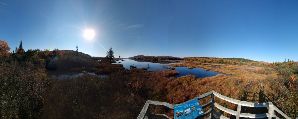 Marais du nord start | 1161 Chemin de la Grande Ligne, Stoneham-et-Tewkesbury, QC G3C 0Y3, Canada