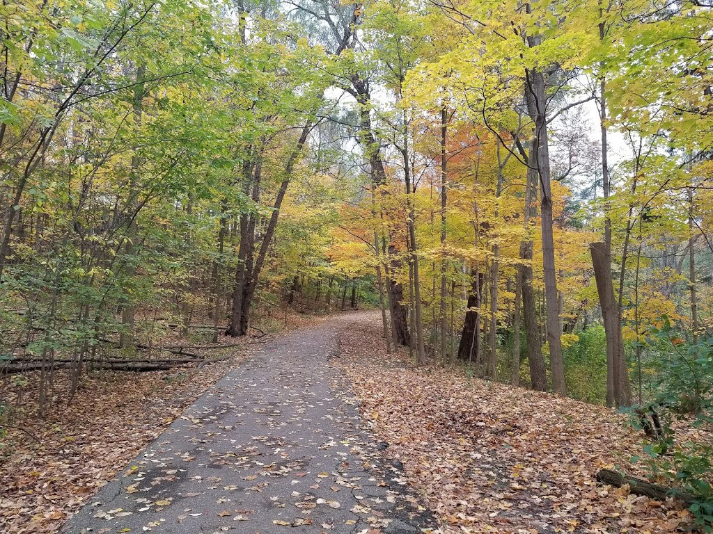 Brookbanks Park | 75 Brookbanks Dr, North York, ON M3A, Canada