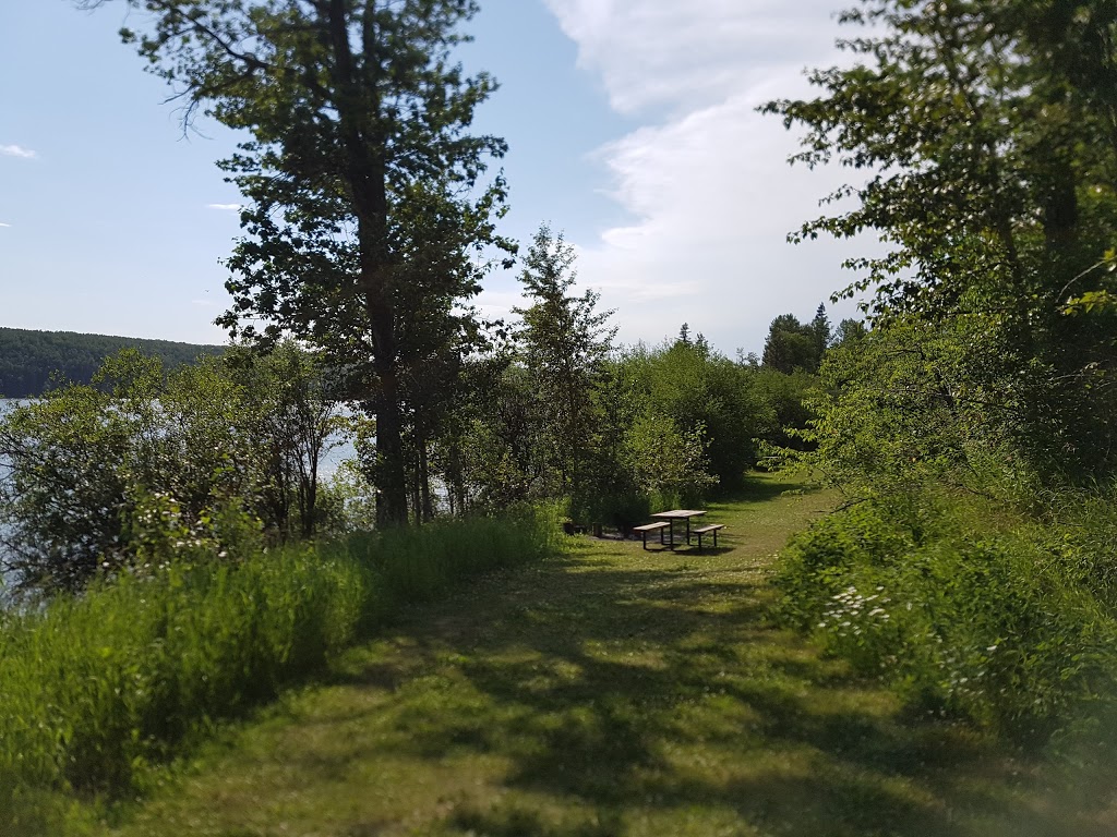 Battle Lake Park | Township Rd 462B, Winfield, AB T0C 2X0, Canada