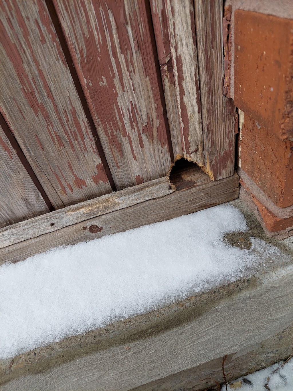 Ultimate Pest Solutions - Brampton | 17 Queen St W #2, Brampton, ON L6Y 1L9, Canada | Phone: (437) 882-4242