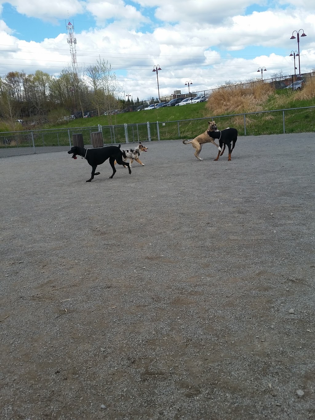 Parc canin | 425 Boul Jean-Baptiste-Rolland E, Saint-Jérôme, QC J7Z 2G9, Canada