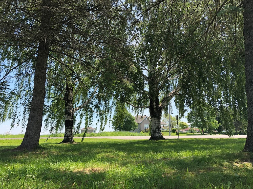 Parc at valaire | 2a Rue du Parc, Saint-Valère, QC G0P 1M0, Canada