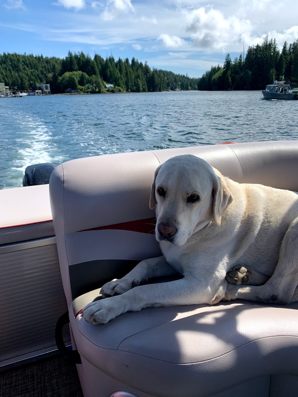 Inlet Express Water Taxi | 81 Board Walk West, Bamfield, BC V0R 1B0, Canada | Phone: (250) 918-5541