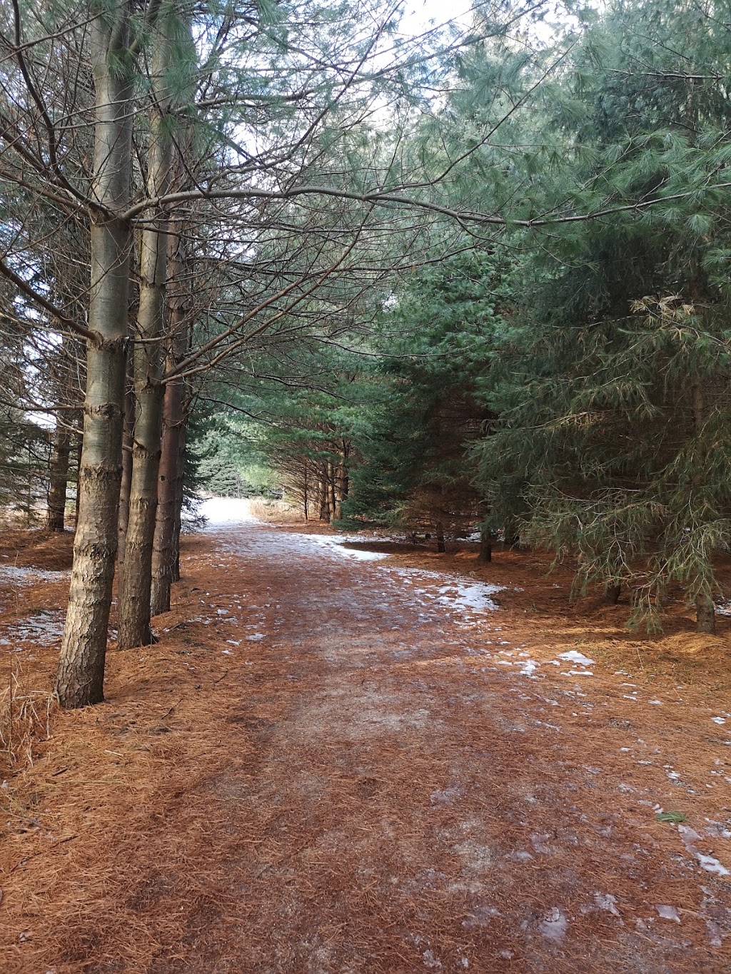 Fprest | 1A6, William Granger Greenway, Woodbridge, ON L4L 1A6, Canada