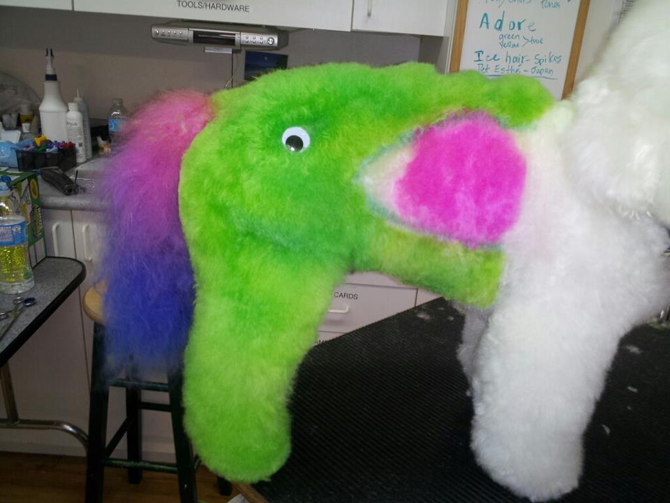 Fetching Fur Dog Grooming | 34517 Pearl Ave, Abbotsford, BC V2S 2V7, Canada | Phone: (604) 853-3647