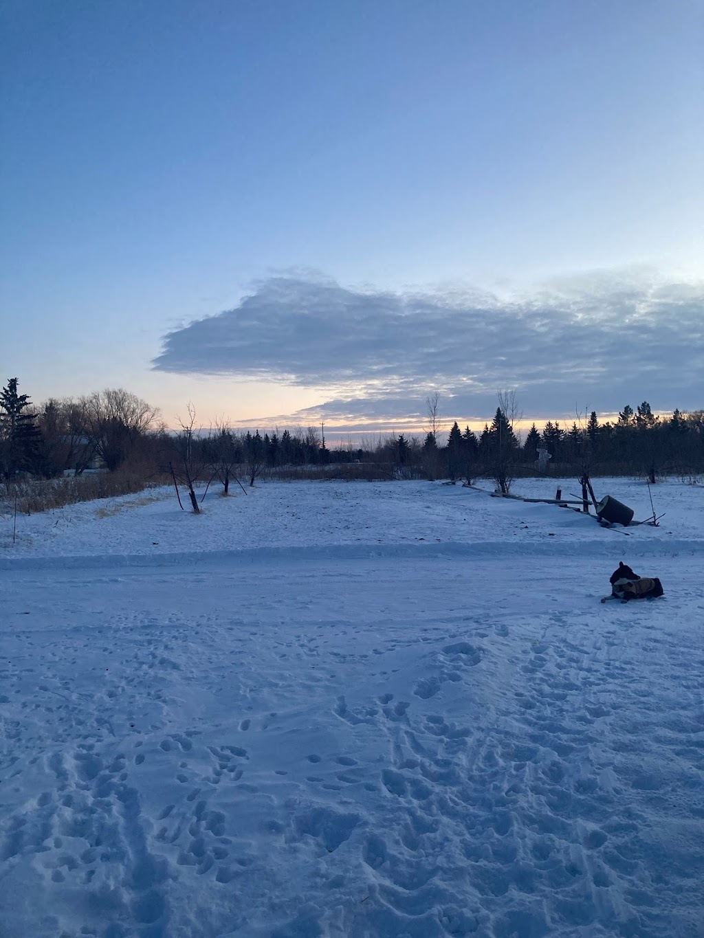 Blue Lagoon Organics Farm | 1A3 781, MB-26, Saint François Xavier, MB R4L 1A2, Canada | Phone: (204) 864-2277