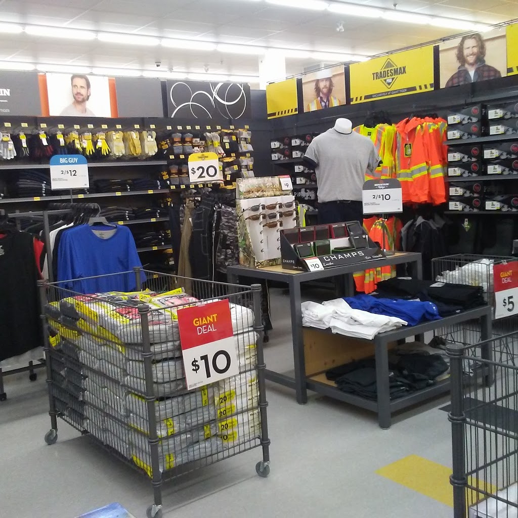 Giant Tiger | 646 OBrien Rd, Renfrew, ON K7V 0B4, Canada | Phone: (613) 432-2230