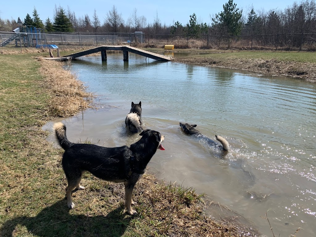 Dog World Bedrock Kennels | 3904 March Rd, Carp, ON K0A 1L0, Canada | Phone: (613) 256-3649