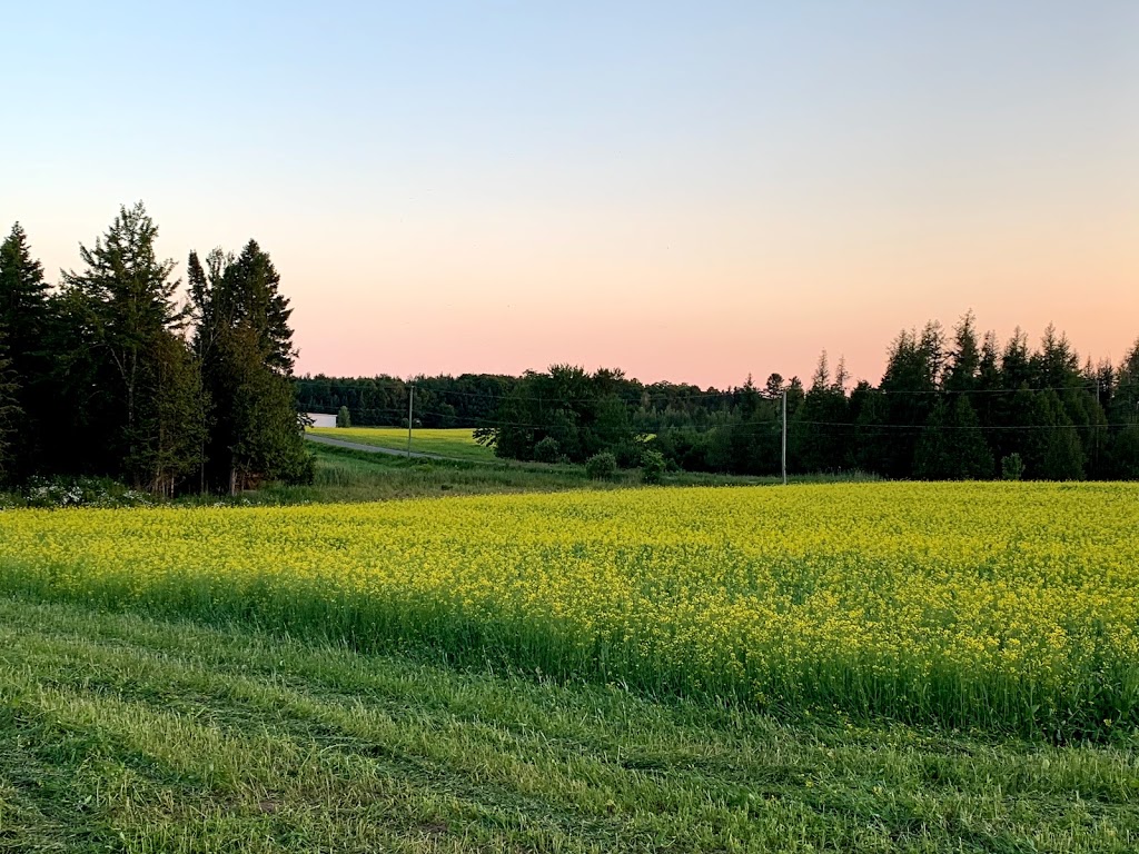 HighCloud - Solutions télépilotées inc. | 106 Place Todoro, Cowansville, QC J2K 3G6, Canada | Phone: (450) 915-1188