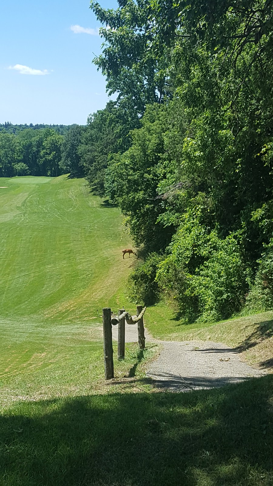 Norfolk Golf & Country Club | 200 Argyle St, Simcoe, ON N3Y 1V9, Canada | Phone: (519) 426-1300