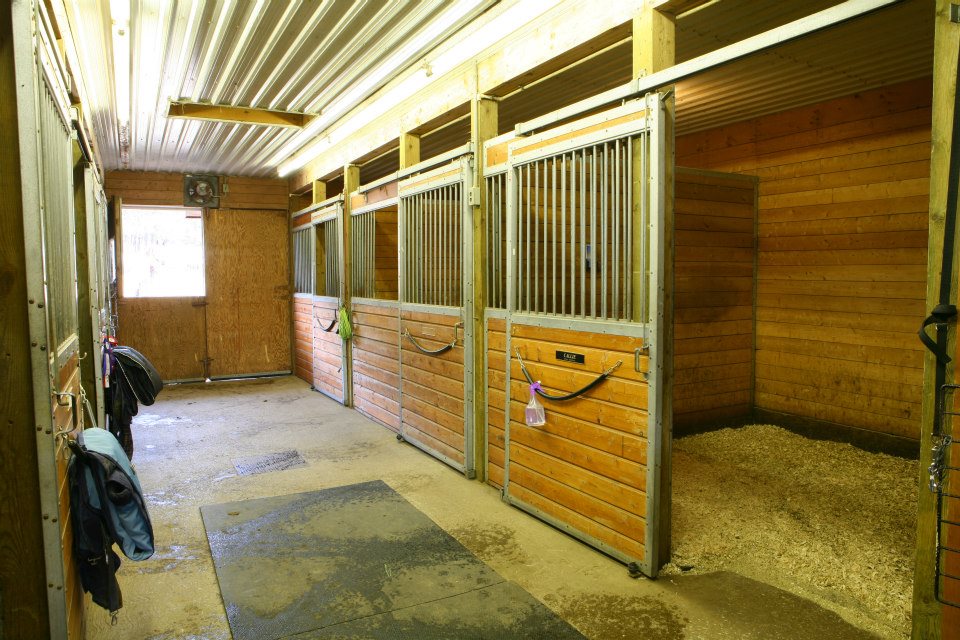 Cowgirls Dream Ranch | 18976 Kennedy Rd, Sharon, ON L0G 1V0, Canada | Phone: (416) 435-3555