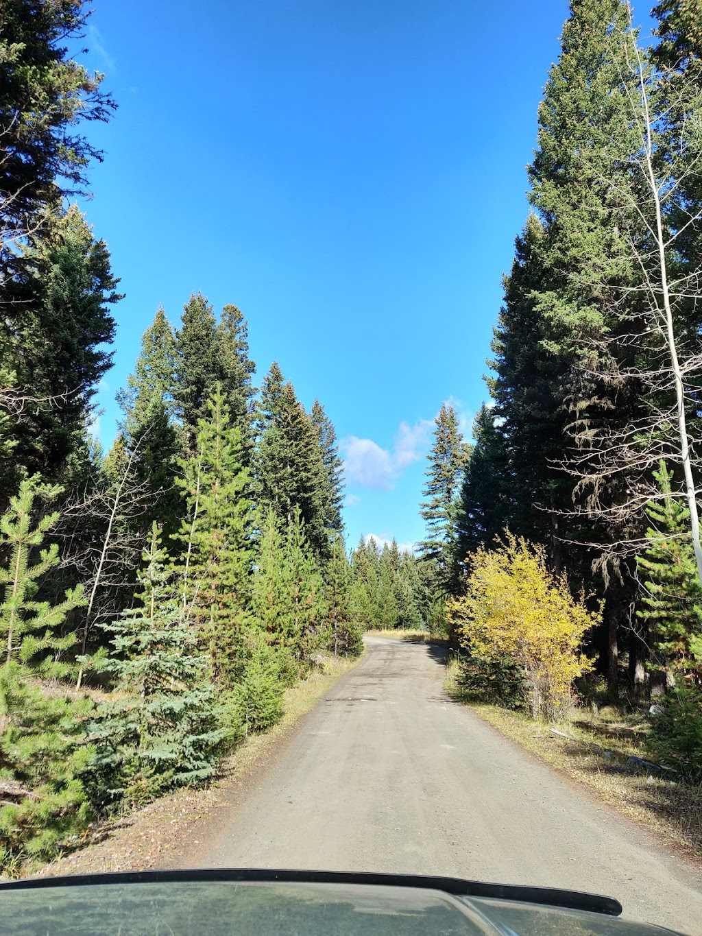 Roche Lake Provincial Park - Knutsford, BC V0E 2A0, Canada