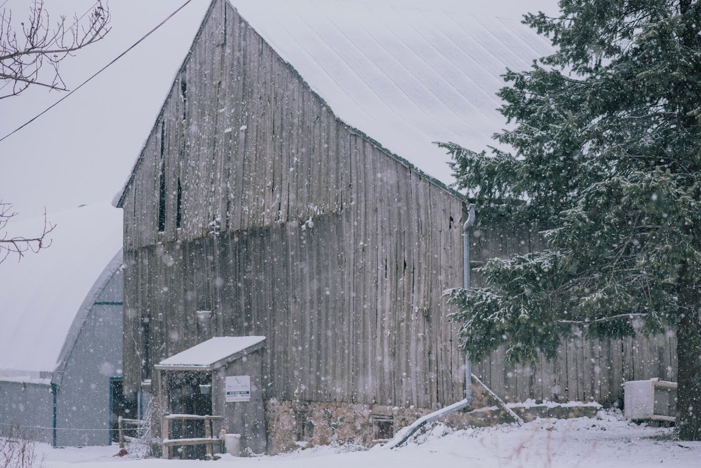 Run 2 You Stables | 1911 Erbs Rd, Baden, ON N3A 3M3, Canada | Phone: (519) 568-1471