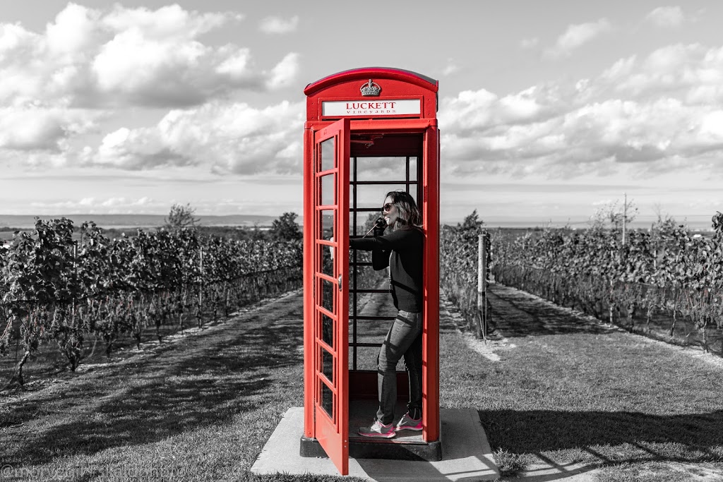 Luckett Vineyards | 1293 Grand Pré Rd, Wolfville, NS B4P 2R3, Canada | Phone: (902) 542-2600