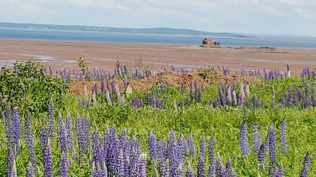 Blomidon Bible Camp | 2739 Pereau Rd, Canning, NS B0P 1H0, Canada | Phone: (902) 599-1182