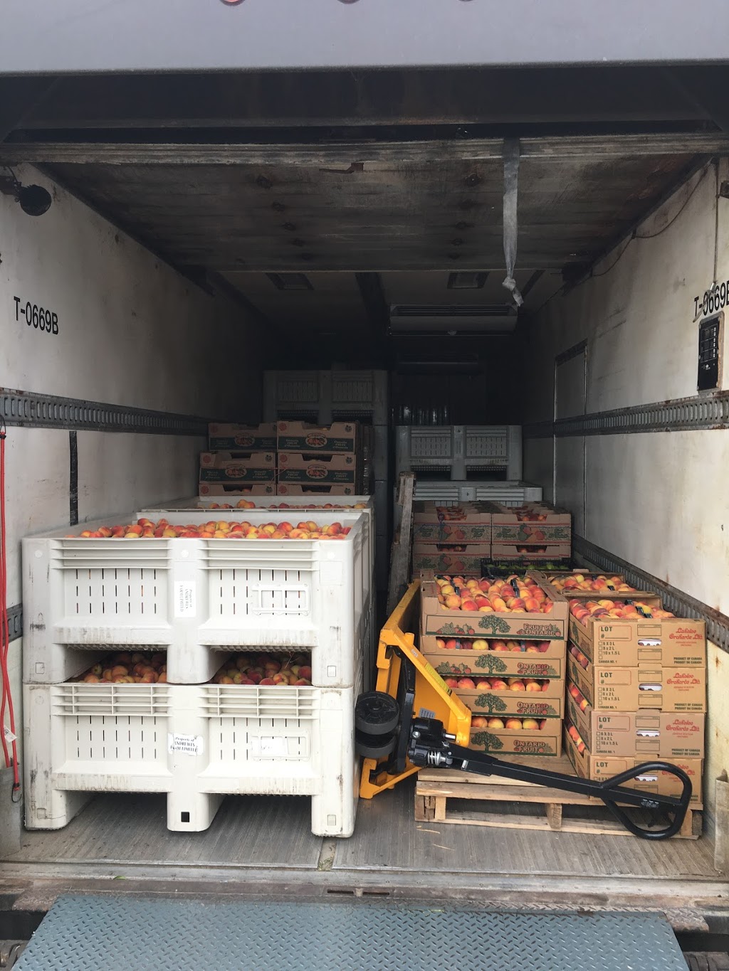 Horizon Fruit | 6936 Horizon Trail, Millbank, ON N0K 1L0, Canada | Phone: (226) 751-5585